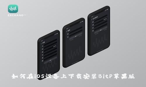 如何在iOS设备上下载安装BitP苹果版
