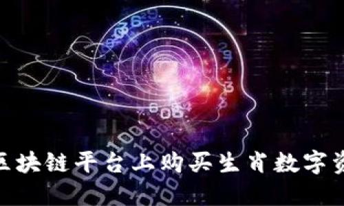 如何在BSN区块链平台上购买生肖数字资产步骤指南