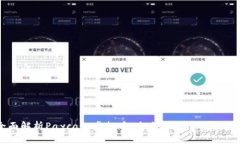 全面解析Paycash虚拟币：未来的支付解决方案