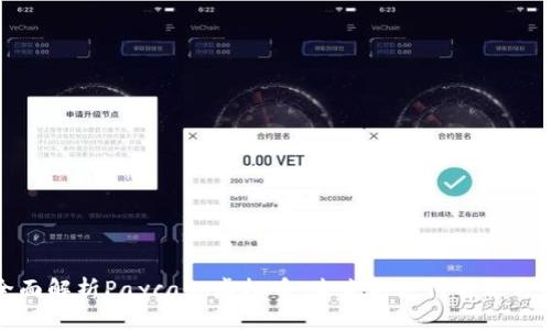 全面解析Paycash虚拟币：未来的支付解决方案