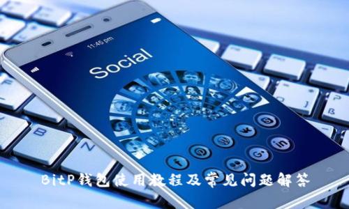 BitP钱包使用教程及常见问题解答