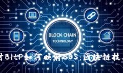深入探讨BitP如何映射EOS：区块链技术的未来
