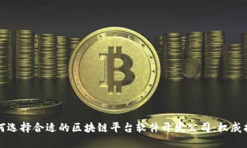 如何选择合适的区块链平台软件开发公司：权威指南