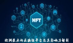 欧洲最大的区块链平台及其影响力解析