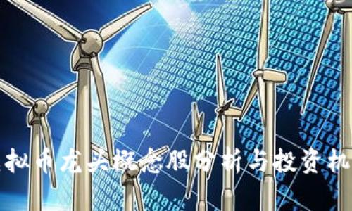 虚拟币龙头概念股分析与投资机会