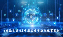 B特派是什么？中国品牌背后的故事揭