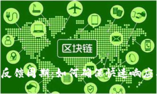 了解B特派反馈周期：如何确保快速响应与高效沟通