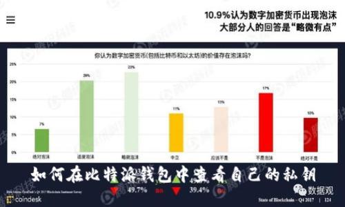 如何在比特派钱包中查看自己的私钥