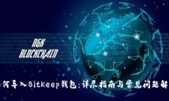 如何导入BitKeep钱包：详尽指南与常见