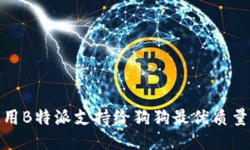 如何使用B特派支持给狗狗最优质量的服务