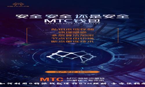 如何利用B特派钱包进行BTM理财：全方位指南