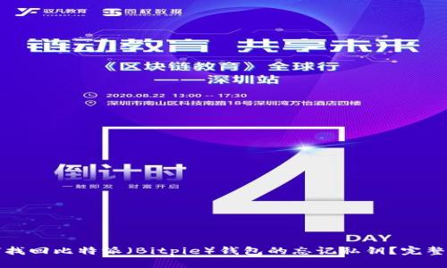 如何找回比特派（Bitpie）钱包的忘记私钥？完整指南