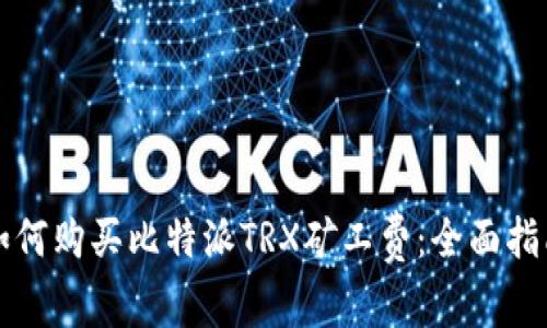 如何购买比特派TRX矿工费：全面指南