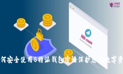 如何安全使用B特派钱包密语保护您的数字资产