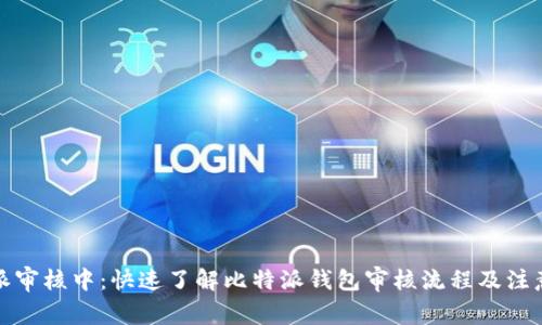 《比特派审核中：快速了解比特派钱包审核流程及注意事项》