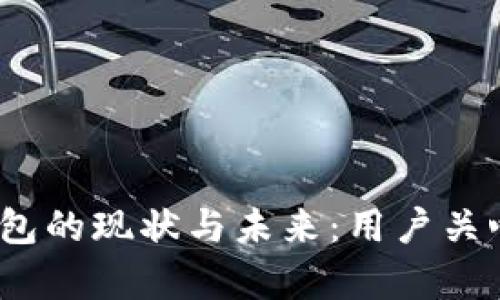 探讨b特派钱包的现状与未来：用户关心的所有问题