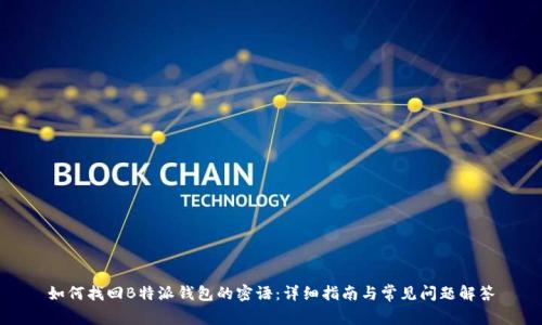 如何找回B特派钱包的密语：详细指南与常见问题解答