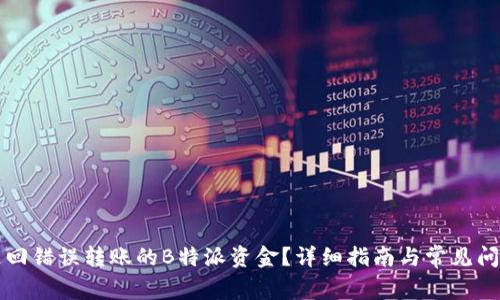 如何追回错误转账的B特派资金？详细指南与常见问题解析