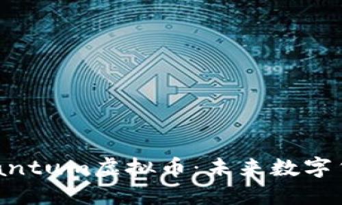 : 深入了解Quantum虚拟币：未来数字货币的核心力量