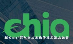 探索BitP钱包的应用场景及其潜在优势