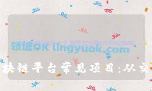 全面解析区块链平台常见项目：从交易所到DeFi