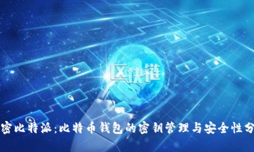 解密比特派：比特币钱包的密钥管理与安全性分析