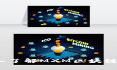 打造创新未来：深入了解MXM区块链平台