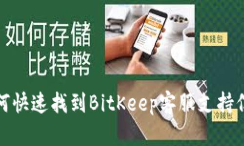 如何快速找到BitKeep客服支持信息