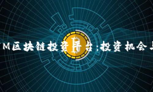 《全面解析17M区块链投资平台：投资机会与风险分析》 

 