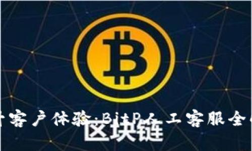 提升客户体验：BitP人工客服全解析