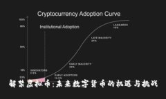 解禁虚拟币：未来数字货币的机遇与挑