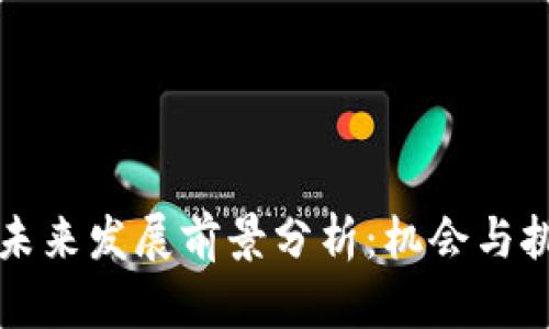 虚拟币未来发展前景分析：机会与挑战并存