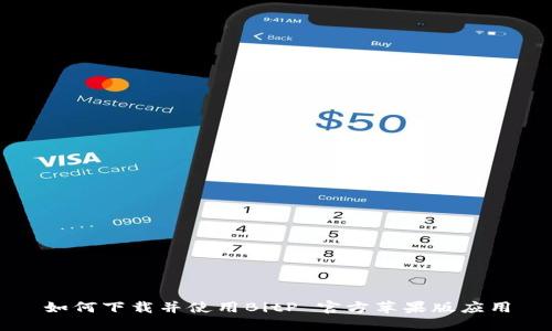 如何下载并使用BitP 官方苹果版应用