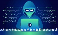 2023年国内主流区块链平台全解析：现