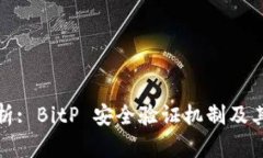 完整解析: BitP 安全验证机制及其重要