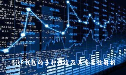 BitP钱包的多种用途及其重要性解析