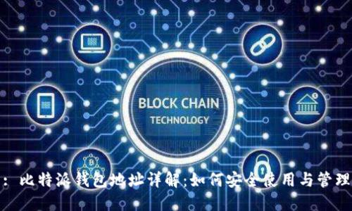 : 比特派钱包地址详解：如何安全使用与管理