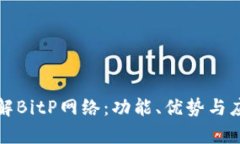 深入了解BitP网络：功能、优势与应用