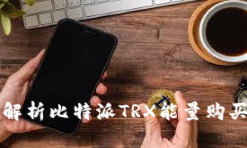 全面解析比特派TRX能量购买方式